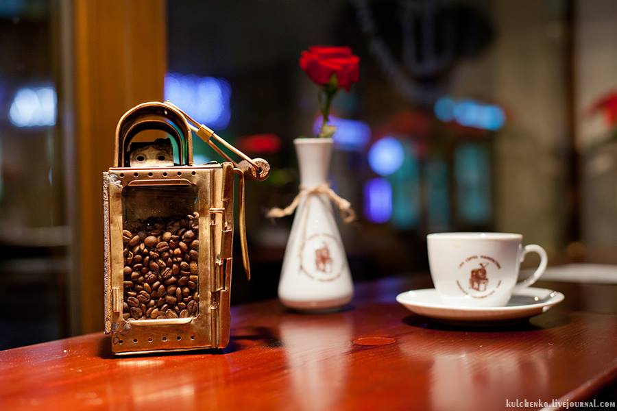 12986960_1281980165149534_4276946932515526616_n